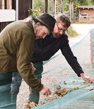 Projekt Zukunftsbäume