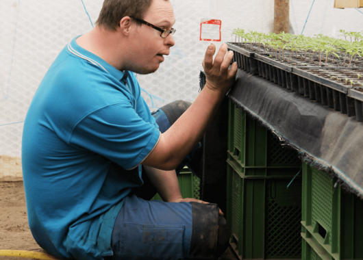 Gartenbau & Geländepflege