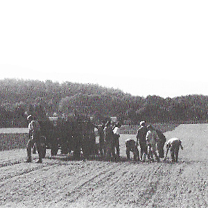 Erste Waldorfschulklasse auf dem Bauckhof Amelinghausen, Eröffnung des Hofladens