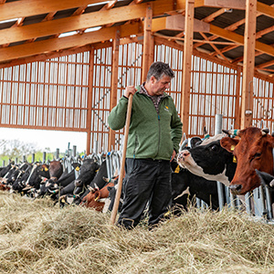 Im Sommer wird der neue Kuhstall in Amelinghausen bezogen